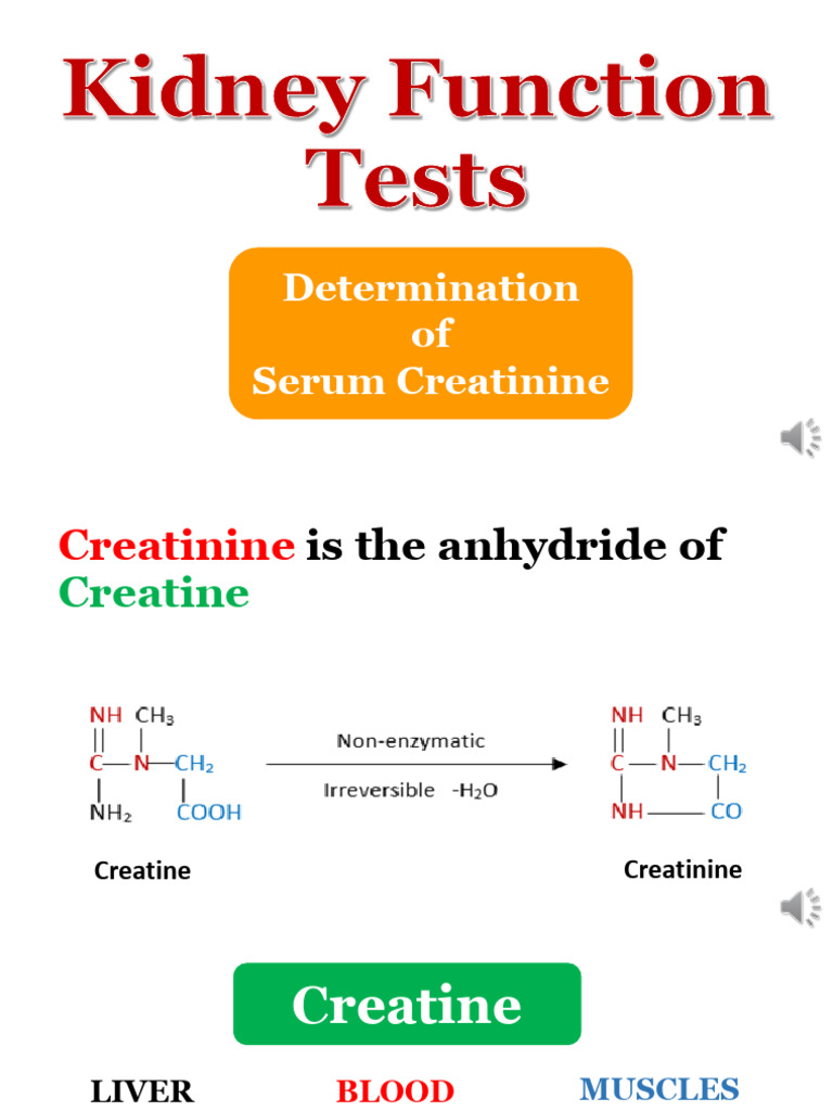_Lab Kidney function test (serum creatinine ) | PDF | Creatinine ...