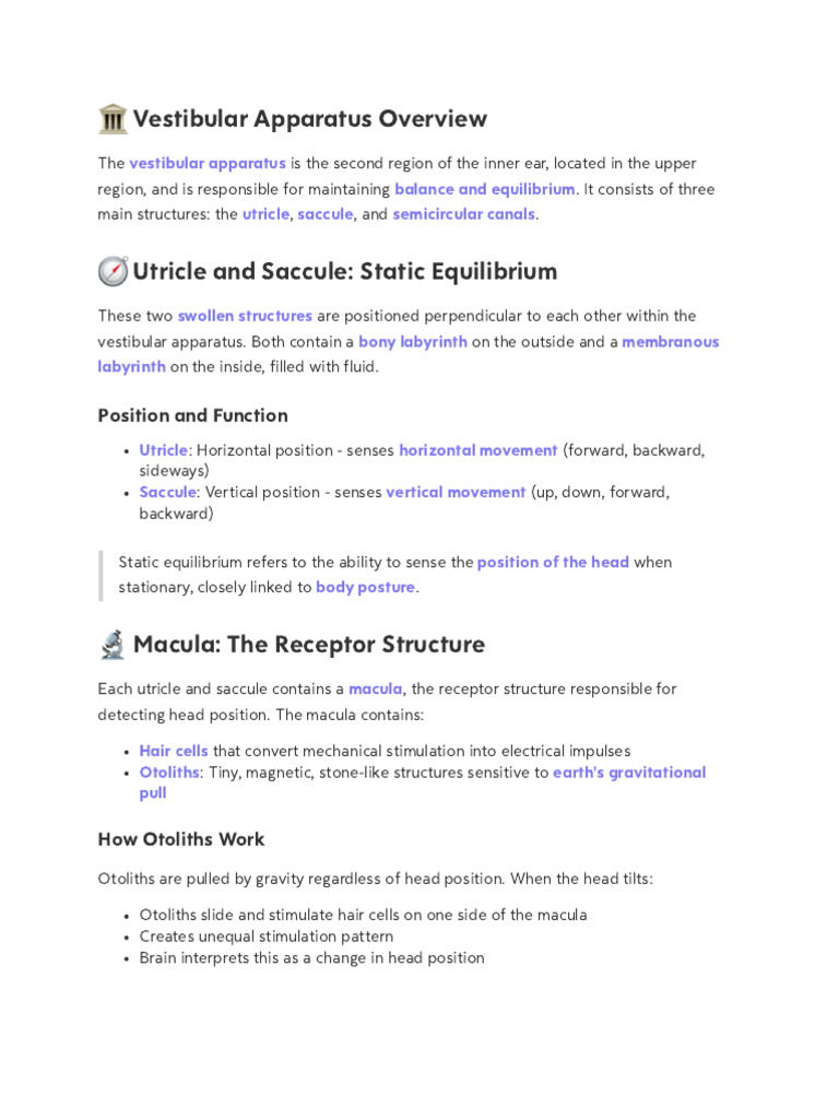Semicircular Canals and The Utriculus and Sacculus | PDF | Vestibular ...
