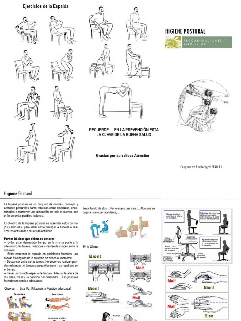 Ejercicios para Higiene Postural | PDF | Dolor lumbar | Factores ...
