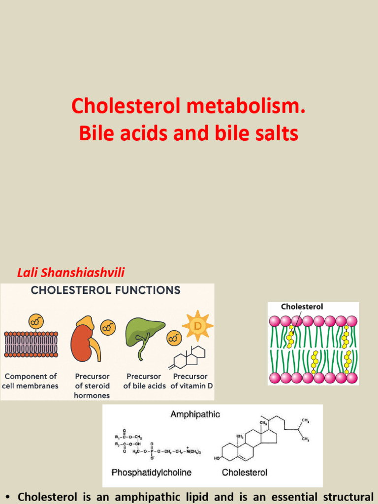 Cholesterol Metabolism and Regulation | PDF | Cholesterol | Bile