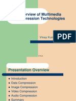 Overview of Multimedia Compression Technologies: Vinay Kumar