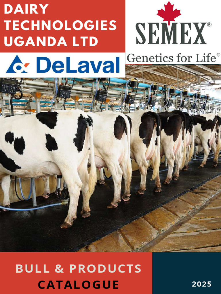Uganda Dairy Products Catalogue 2025 | PDF | Dairy Cattle | Dairy