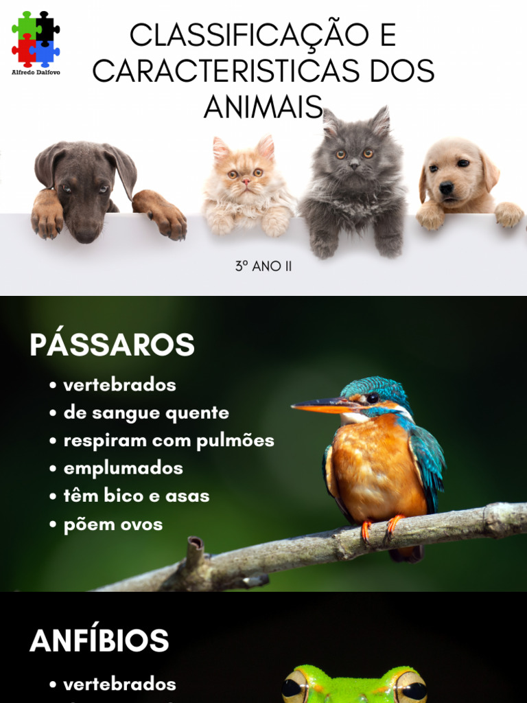 Classificação de Animais Vertebrados | PDF