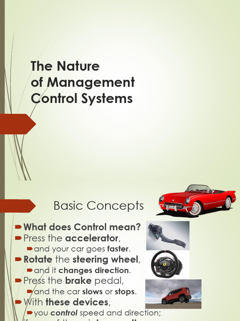Understanding Management Control Systems | PDF | Internet | Goal