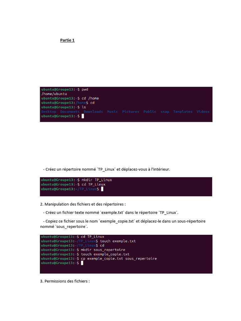 Commandes Linux : Fichiers et Utilisateurs | PDF