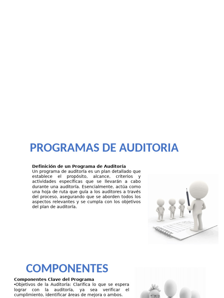 Guía para un Programa de Auditoría Efectivo | PDF | Auditoría | Business