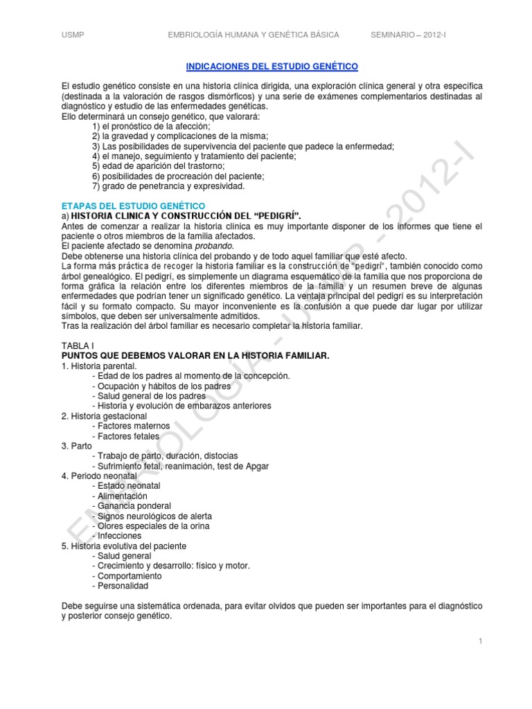 Netico | PDF | Síndrome de Down | El embarazo