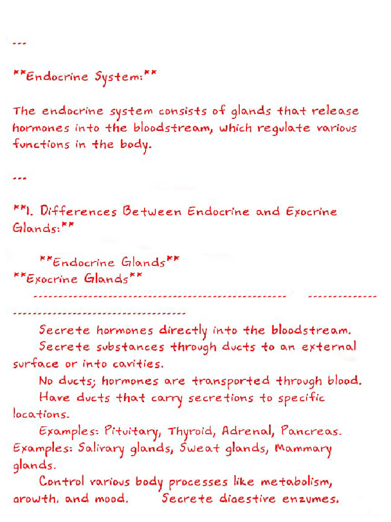 Endocrine System Handwritten Notes | PDF