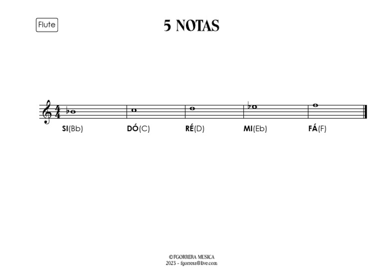 5 Notas Flute | PDF
