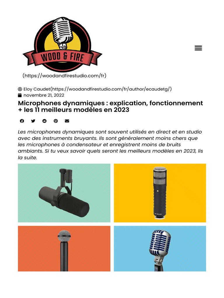 Meilleurs microphones dynamiques 2023 | PDF | Microphone | Reproduction ...