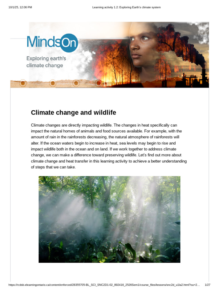 Impact of Climate Change on Wildlife | PDF | Oceans | Wound