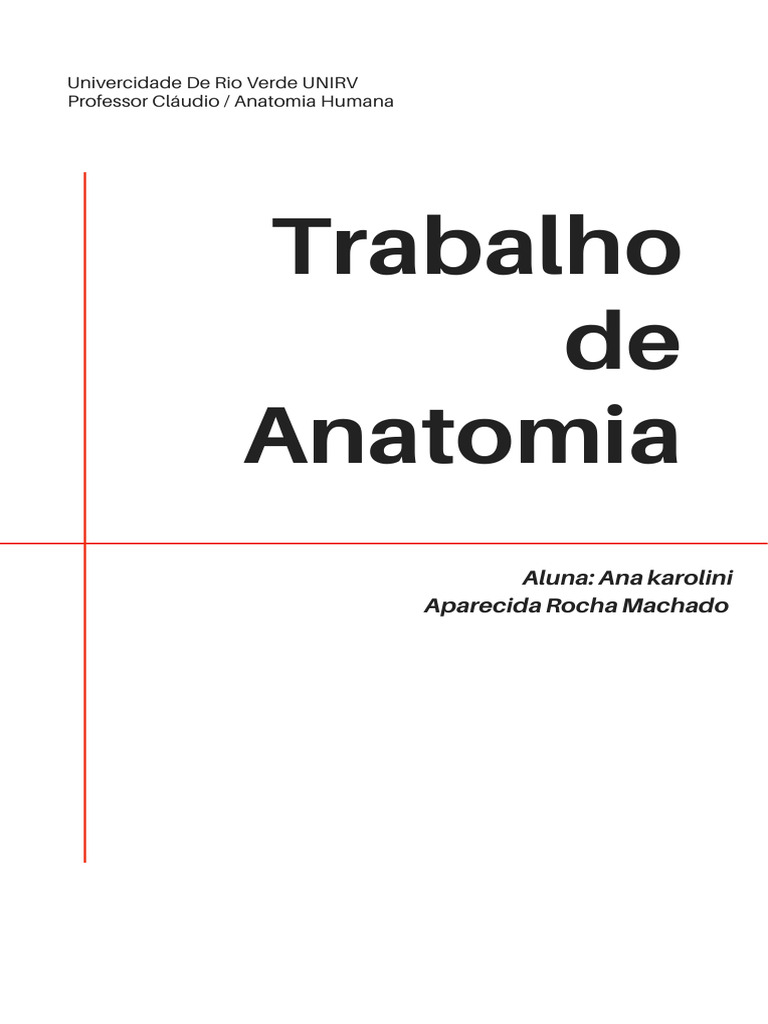 Anatomia Humana - UNIRV | PDF