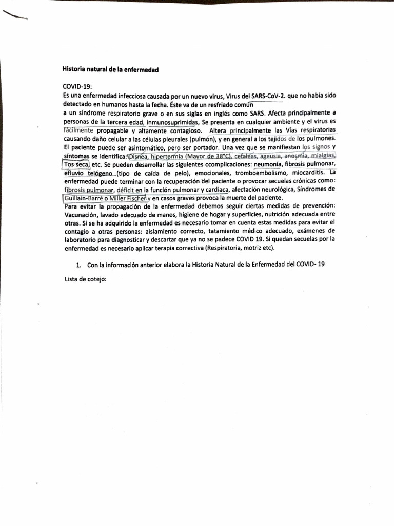 Adobe Scan 26 de Nov de 2024 | PDF