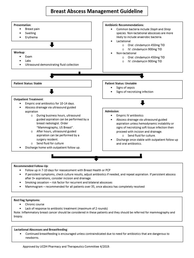 Breast Abscess Management Guidelines | PDF | Breast Cancer | Human ...