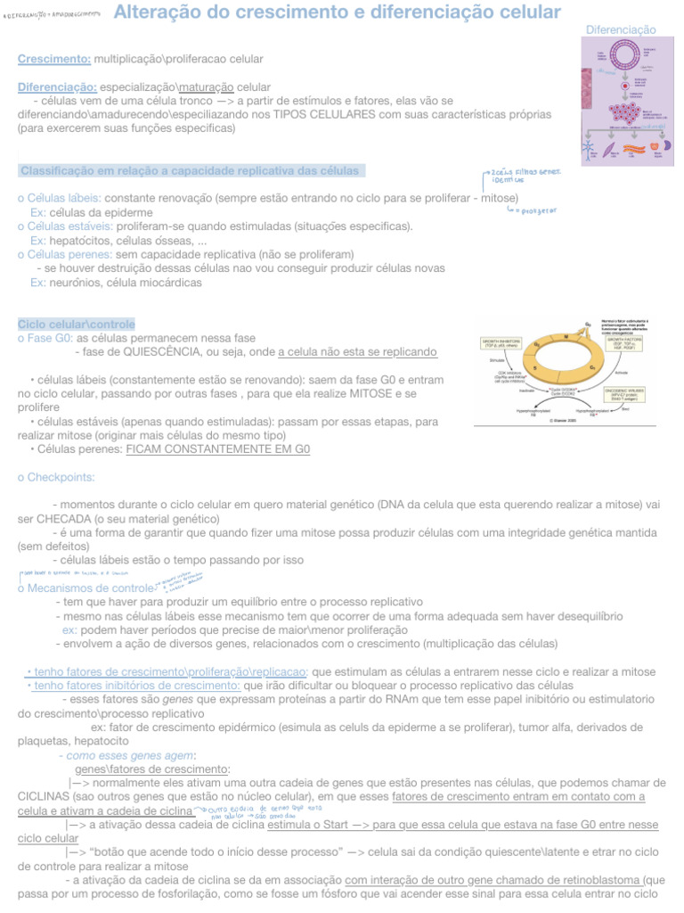 Crescimento e Diferenciação Celular | PDF | Apoptose | Célula (Biologia)