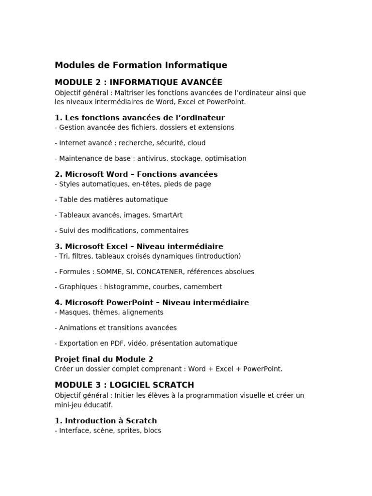 Formation Informatique Avancée et Scratch | PDF