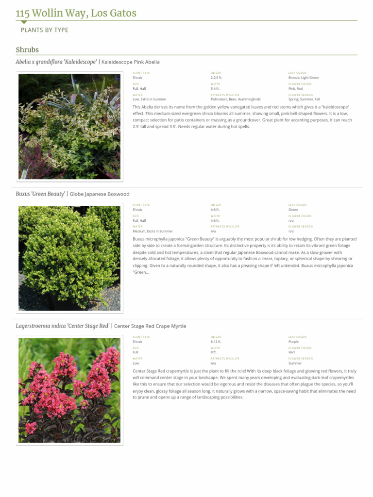 Diverse Shrubs for Garden Landscaping | PDF | Plants | Botany