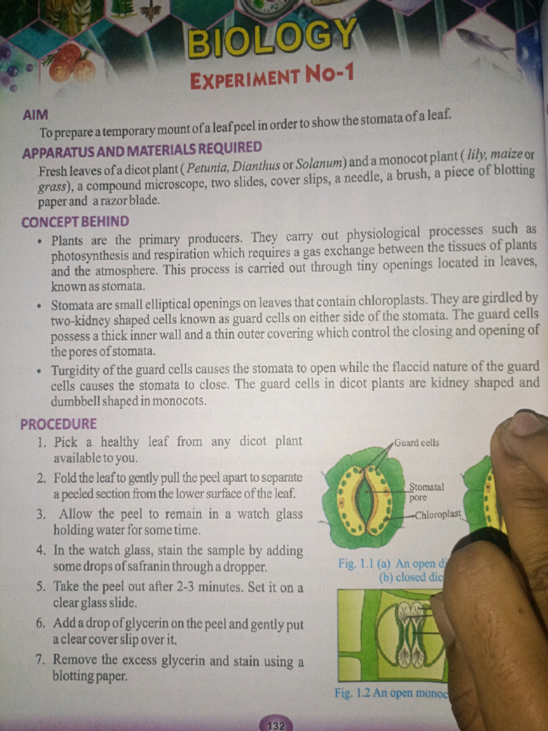 Biology Experiment 01 | PDF