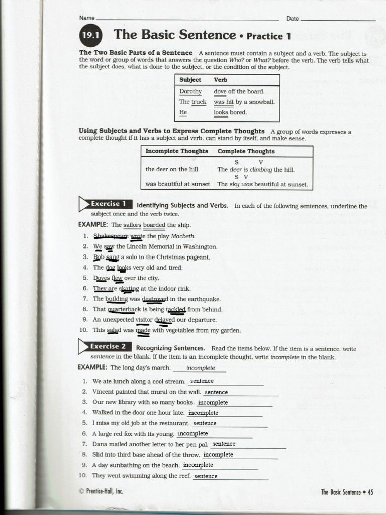 Kami Export - Basic Sentence +, PP 45, 47 and 49 | PDF | Subject (Grammar)