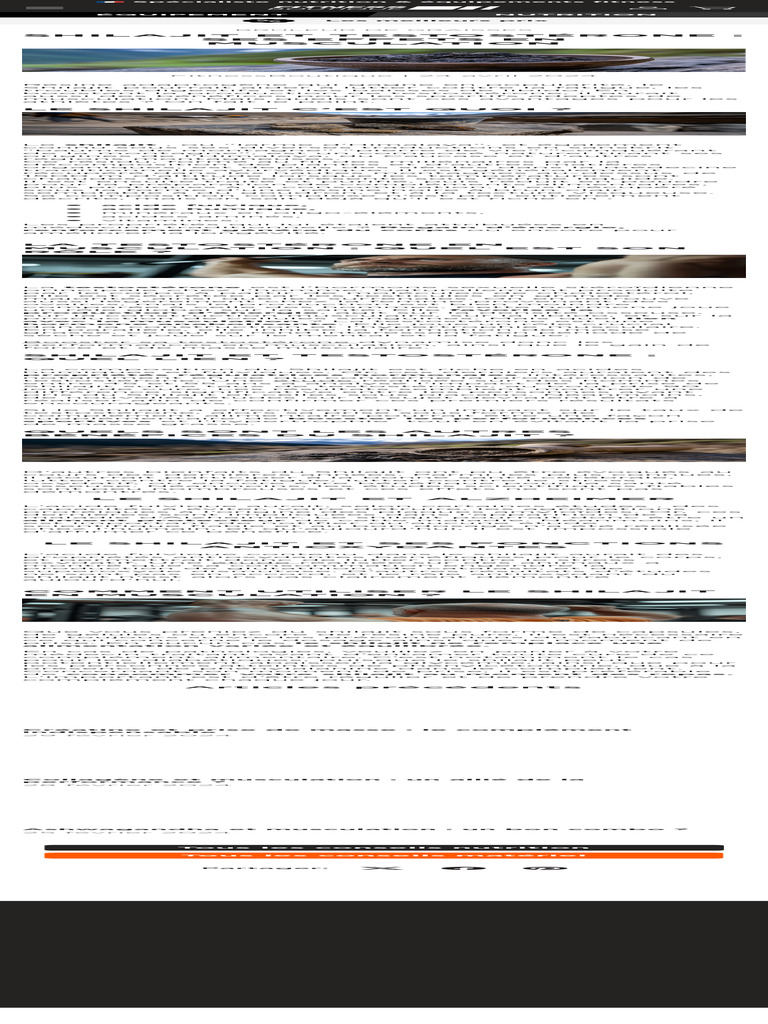 Shilajit : Boostez Testostérone et Musculation | PDF | Testostérone ...