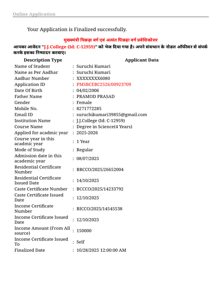 Successful Online Application Submission | PDF