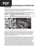 Fungi Characteristics and Classification | PDF | Fungus | Organisms