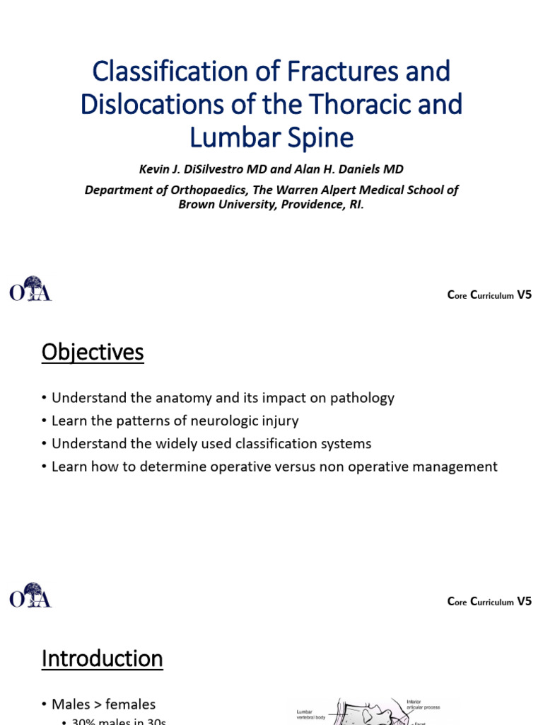 Thoracolumbar Spine Injury Classification | PDF | Spinal Cord Injury ...