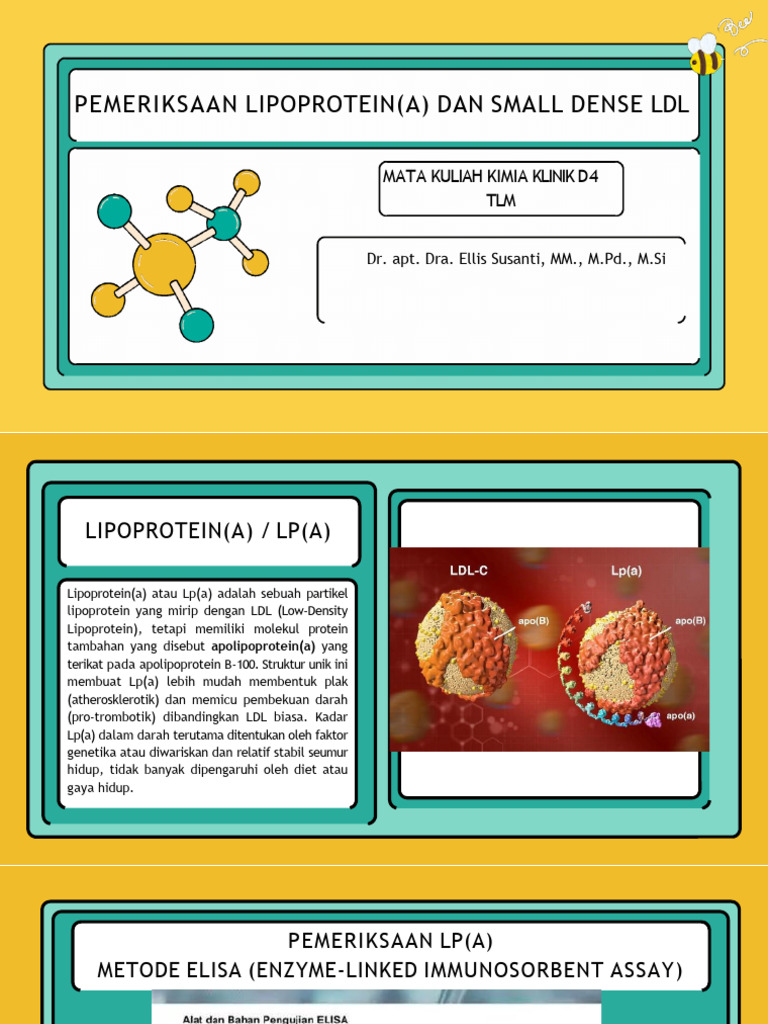 Pemeriksaan LP (A) Dan Small Dense LDL | PDF