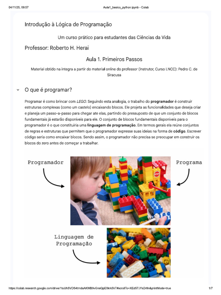Aula1_BasicoPython1 | PDF