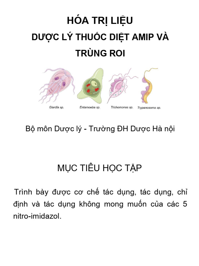 Thuốc Điều Trị Amip, Trùng Roi 2025 | PDF