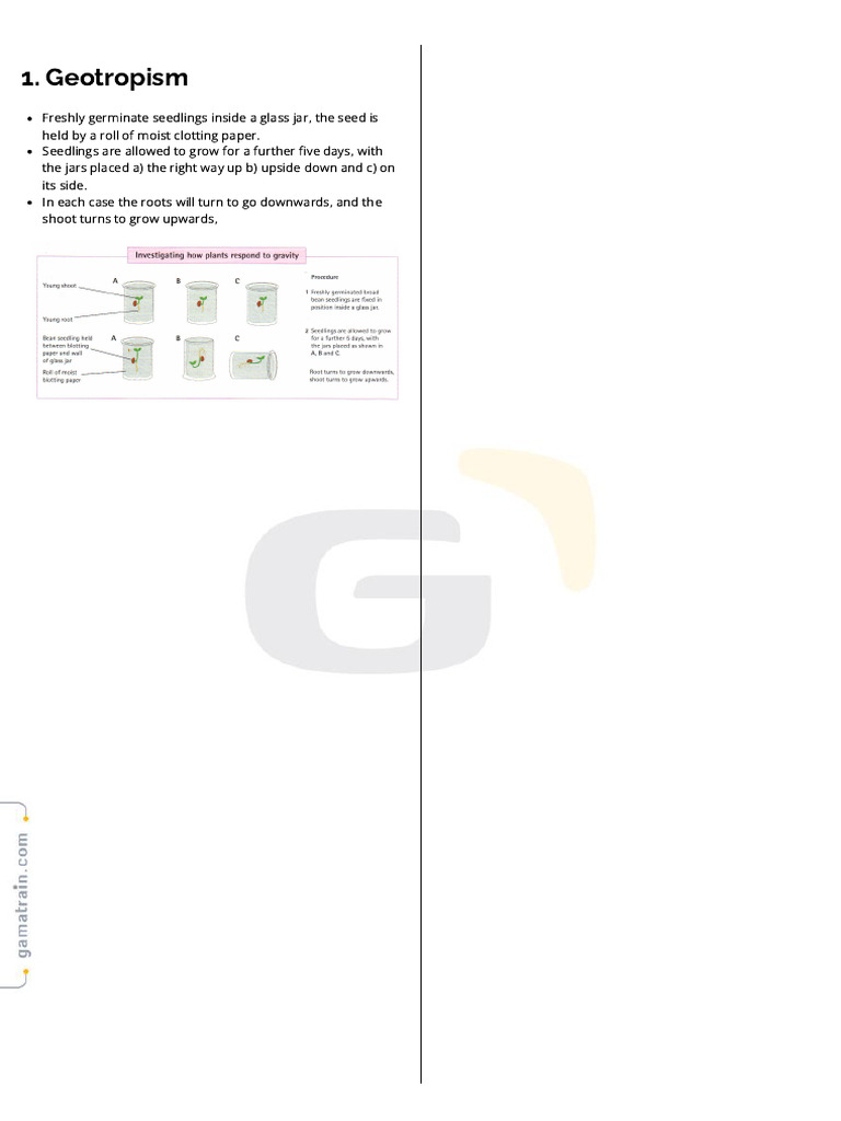 Geotropism in IGCSE Biology Seedlings | PDF