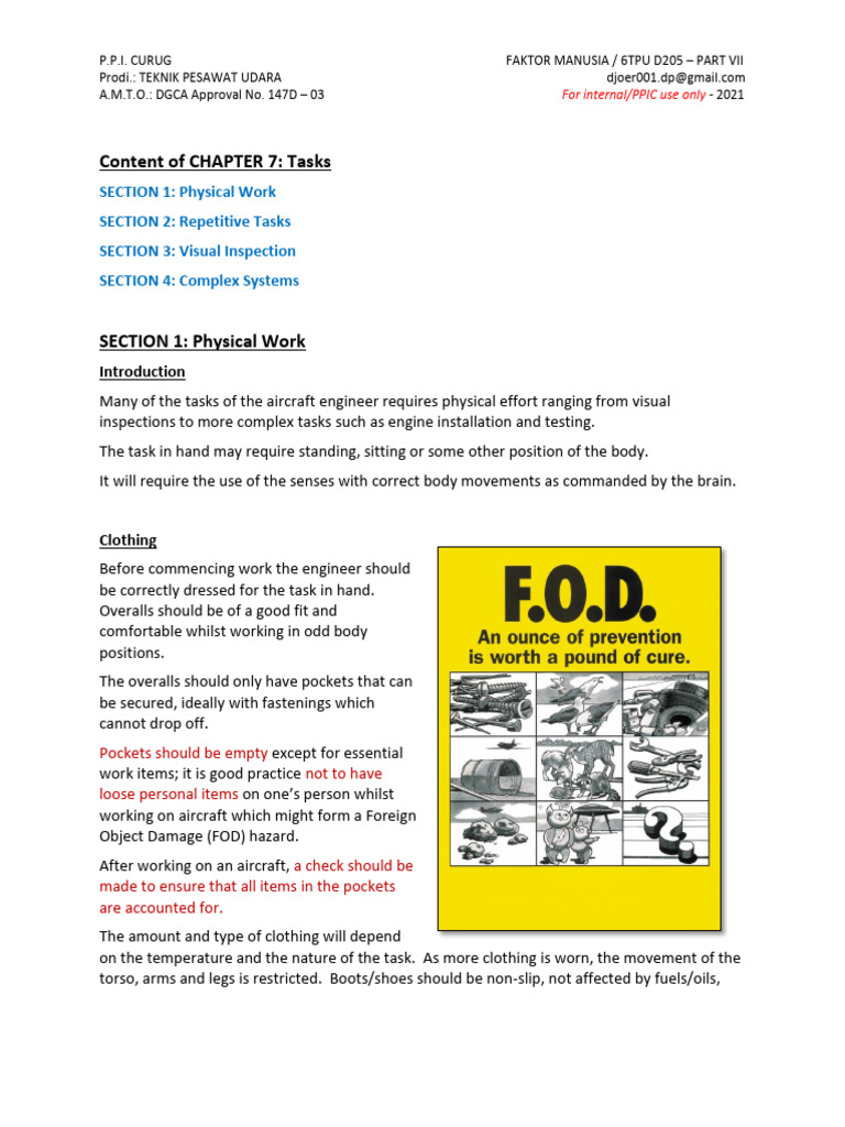 6 Human Fact. Chapter Vii - Task | PDF | Visual Perception | Perception