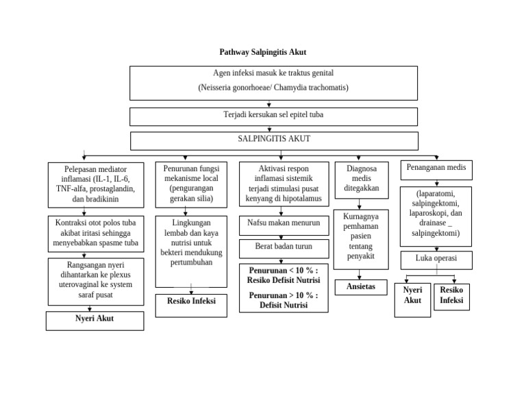 Pathway Salpingitis Akut | PDF