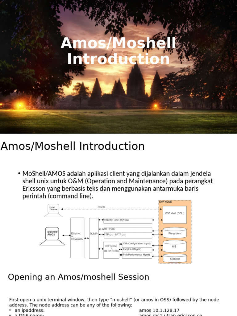 Amos Introduction | PDF | Command Line Interface | Computing