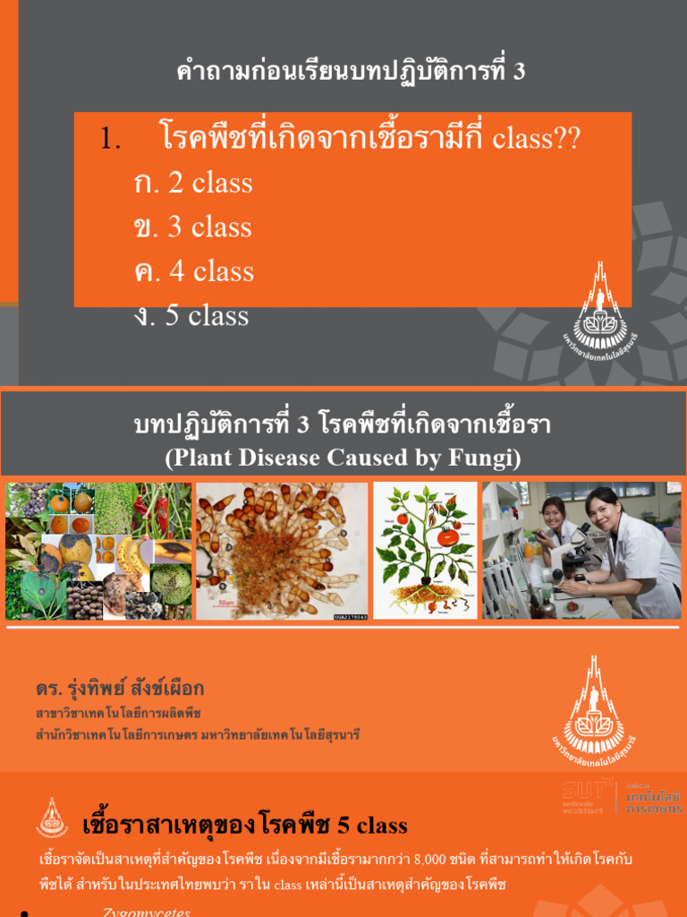 Lab week 3 โรคพืชที่เกิดจากเชื้อรา v2 | PDF