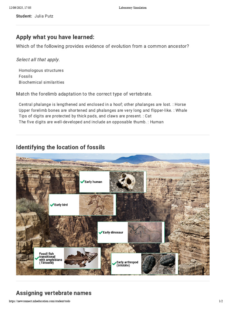 Evidence of Evolution Lab | PDF
