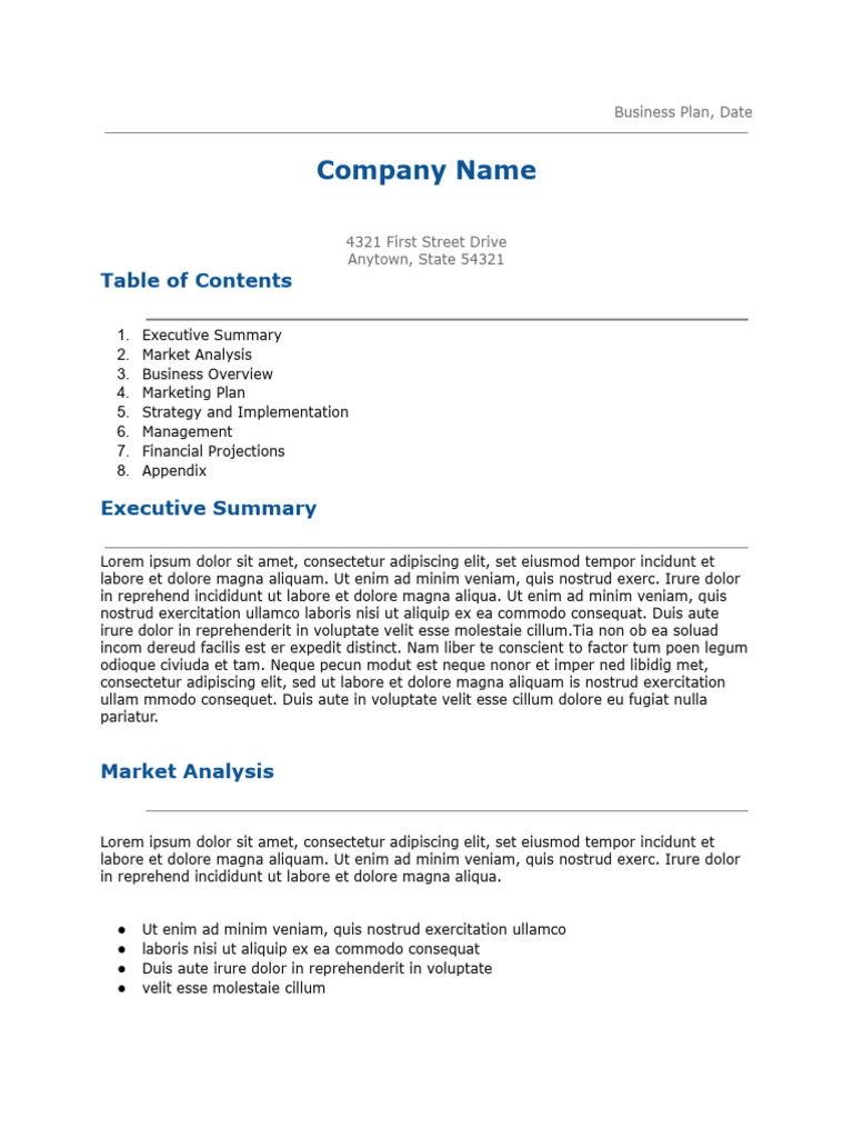 Comprehensive Business Plan Overview | PDF