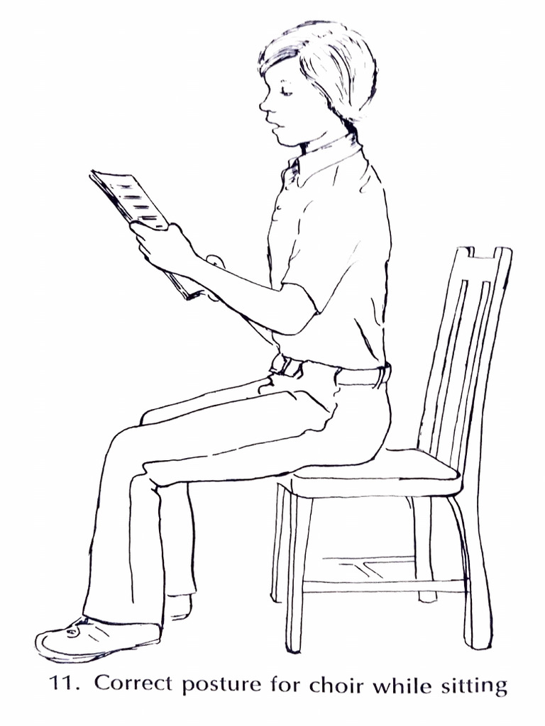 Sitting Posture | PDF