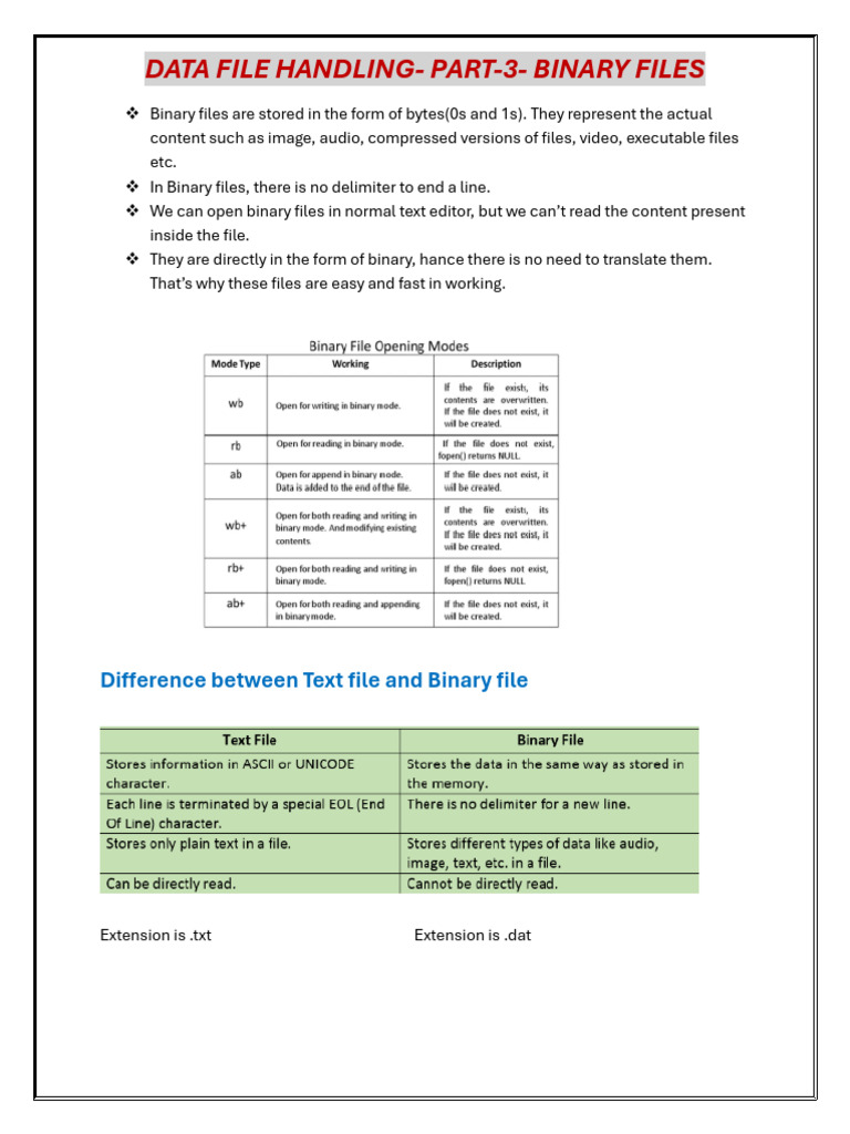 Binary Files | PDF | Computer File | Computer Engineering