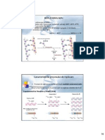 Seminar BM An II - PDF Anca