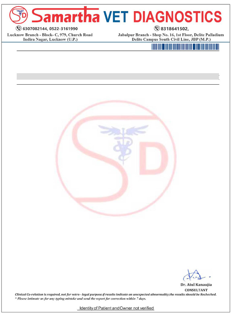 Canine Blood Test Report for Oni | PDF | Medical Specialties | Liver