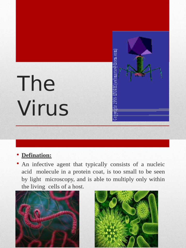 Understanding Viruses: Structure and Spread | PDF | Virus | Dna
