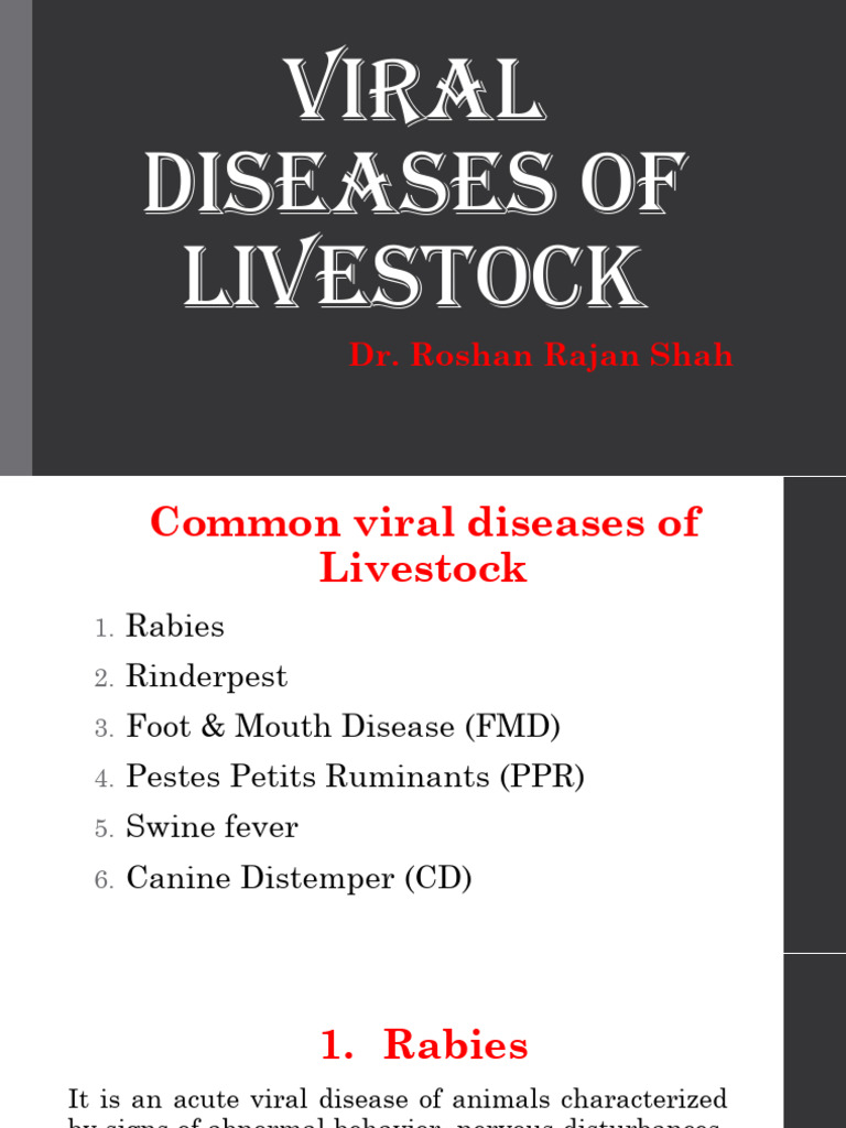 Common Viral Diseases in Livestock | PDF | Rabies | Infection