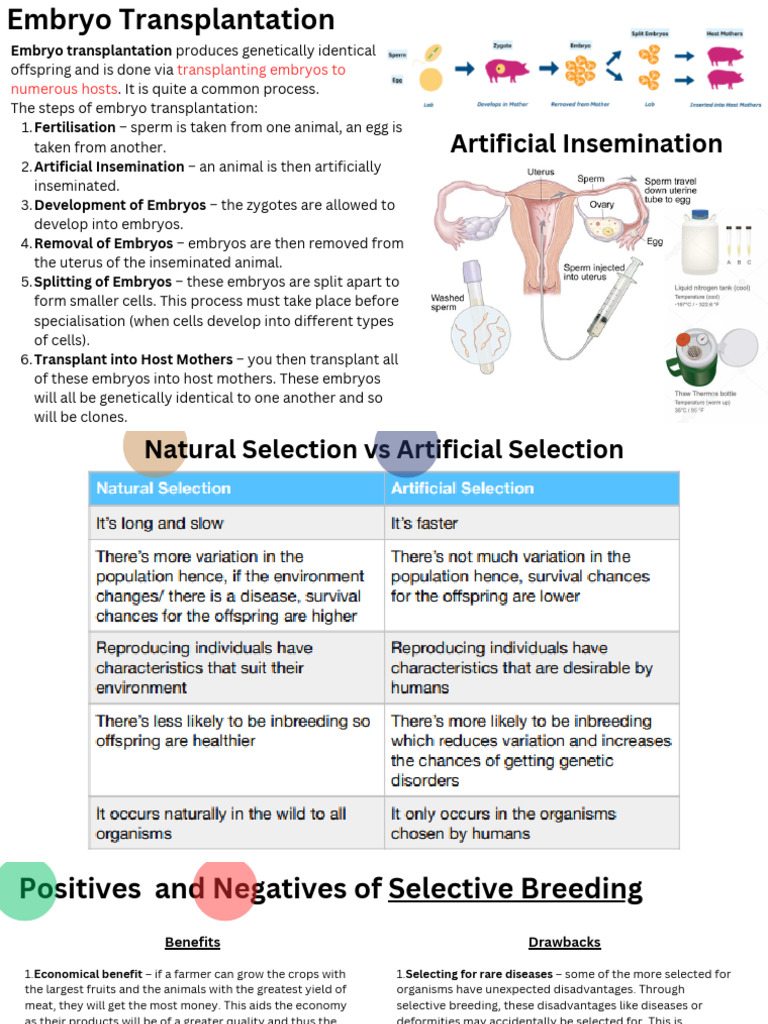 Steps in Embryo Transplantation Process | PDF | Selective Breeding | Embryo