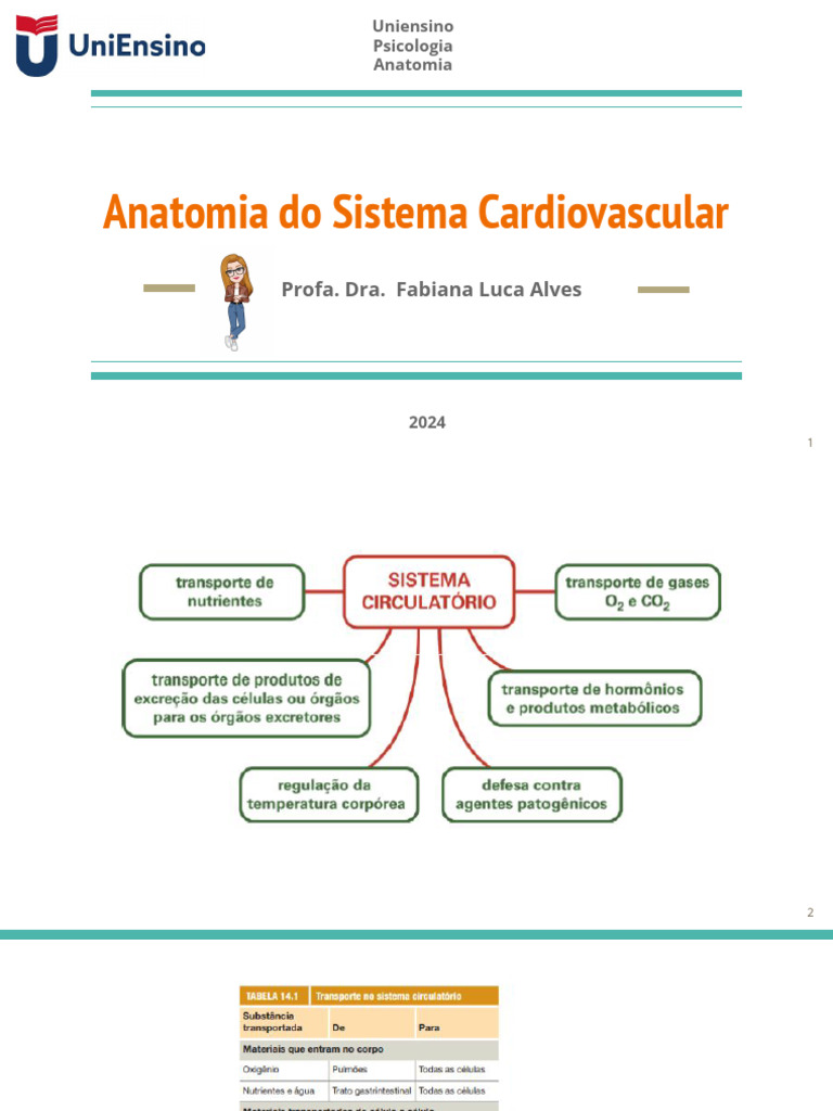 Anatomia do Sistema Cardiovascular | PDF | Coração | Sistema circulatório