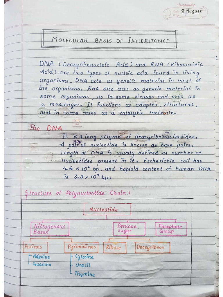 Master NEET with Alpha Handwritten Notes | PDF | Physical Sciences