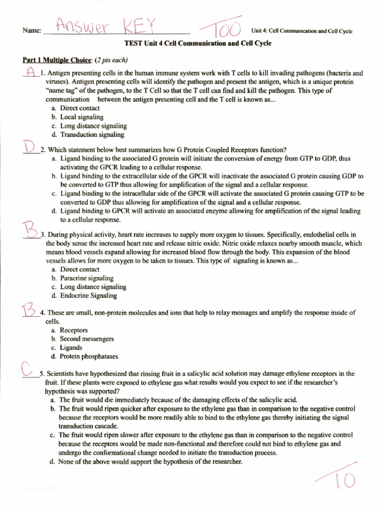 KEY Unit 4 TEST | PDF