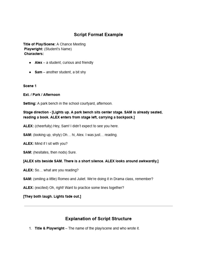 MYP 2 Script Writing Sample (2) | PDF