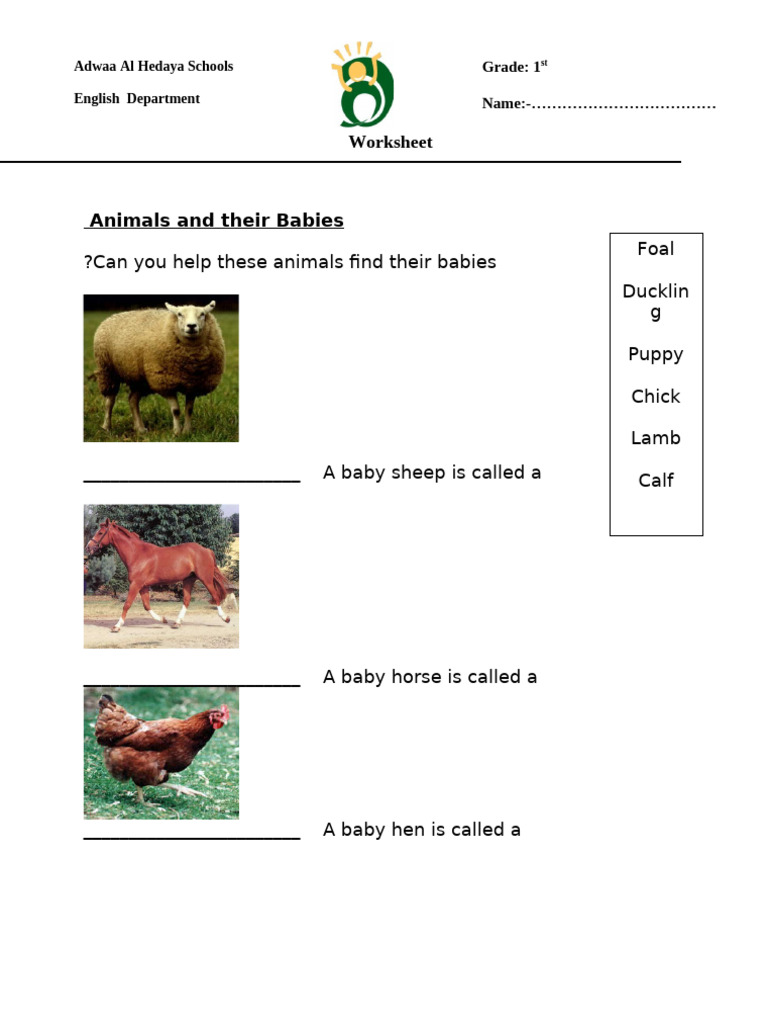 Animals and Their Baby Names Worksheet | PDF