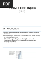 ASIA Spinal Cord Injury Classification | PDF | Anatomical Terms Of ...